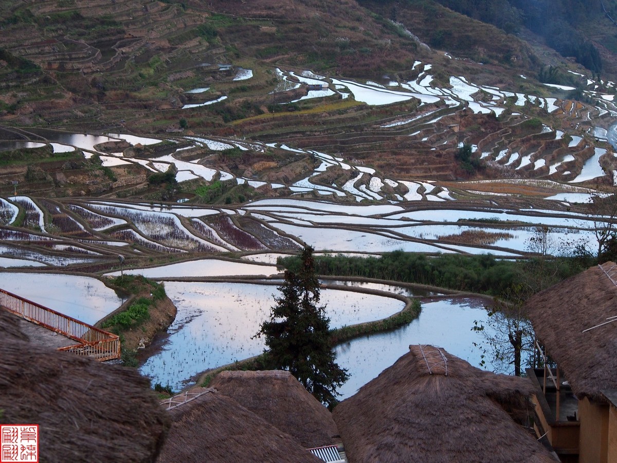 2023元阳梯田一路随拍（15）