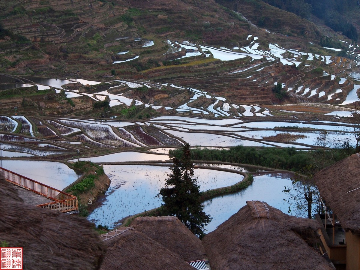2023元阳梯田一路随拍（15）