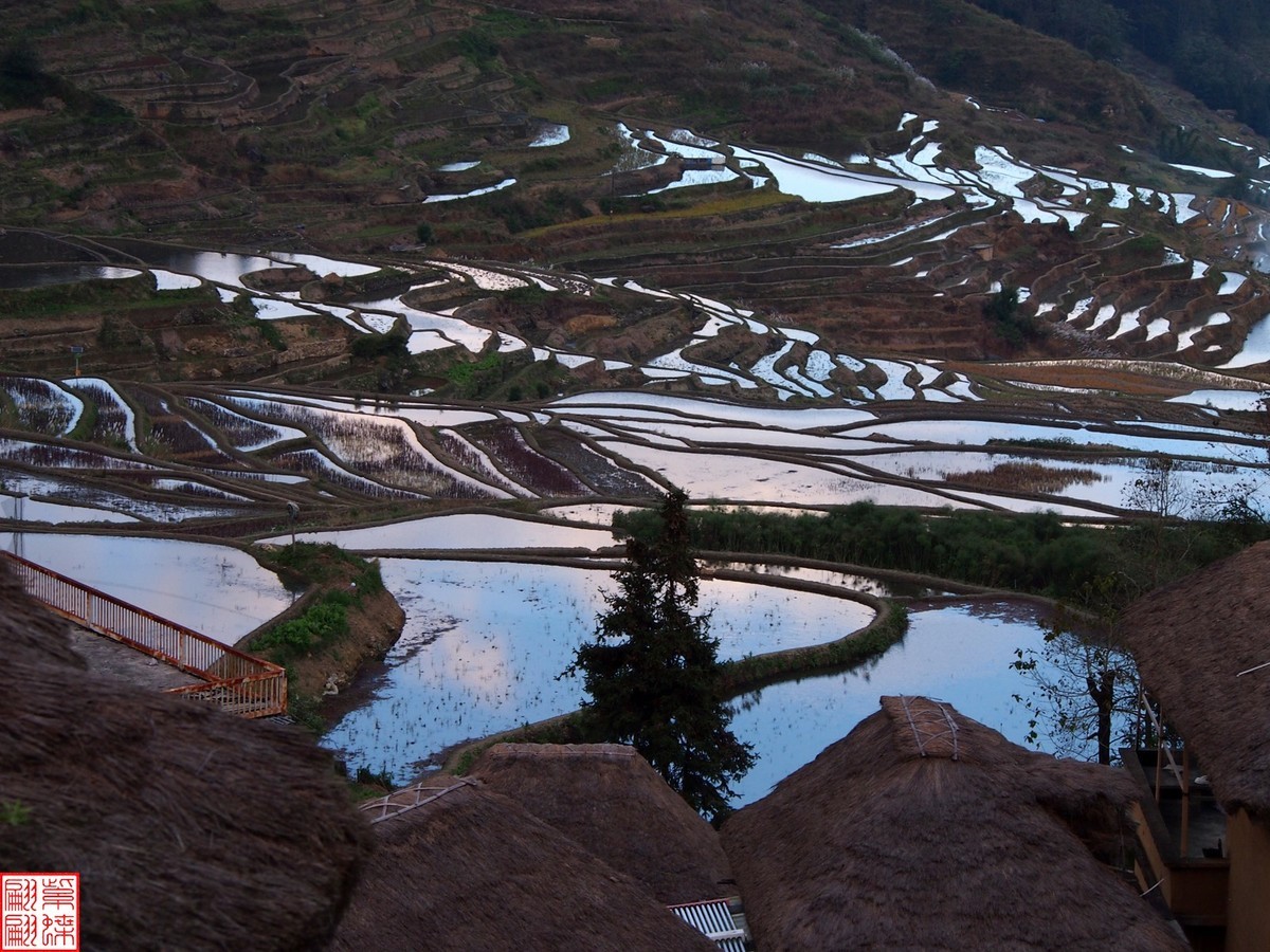 2023元阳梯田一路随拍（15）