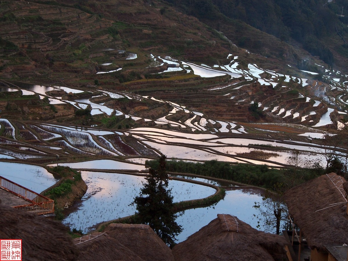 2023元阳梯田一路随拍（15）