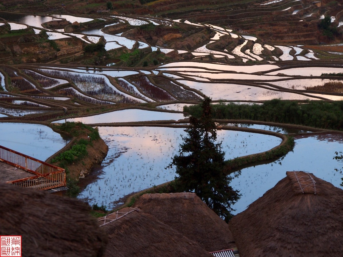 2023元阳梯田一路随拍（15）