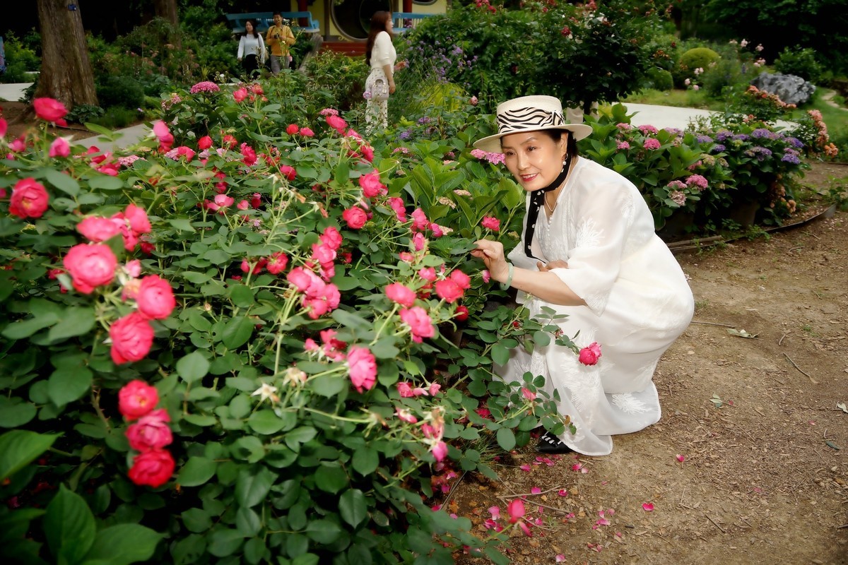 环境人像---五月的植物园！