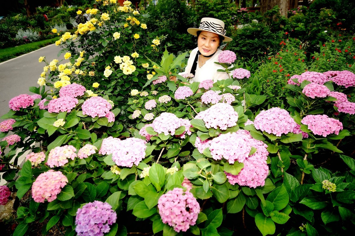 环境人像---五月的植物园！