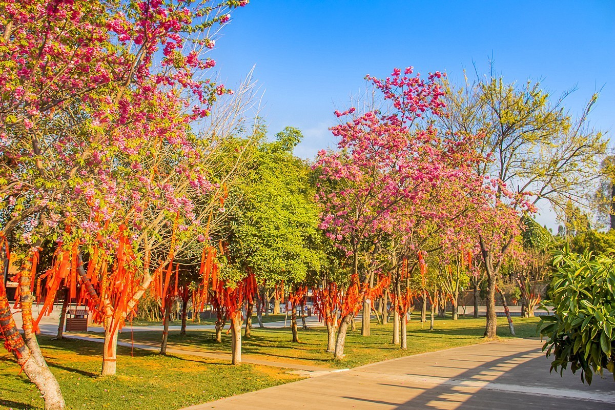 2025-06-11云南弥勒锦屏山（一）