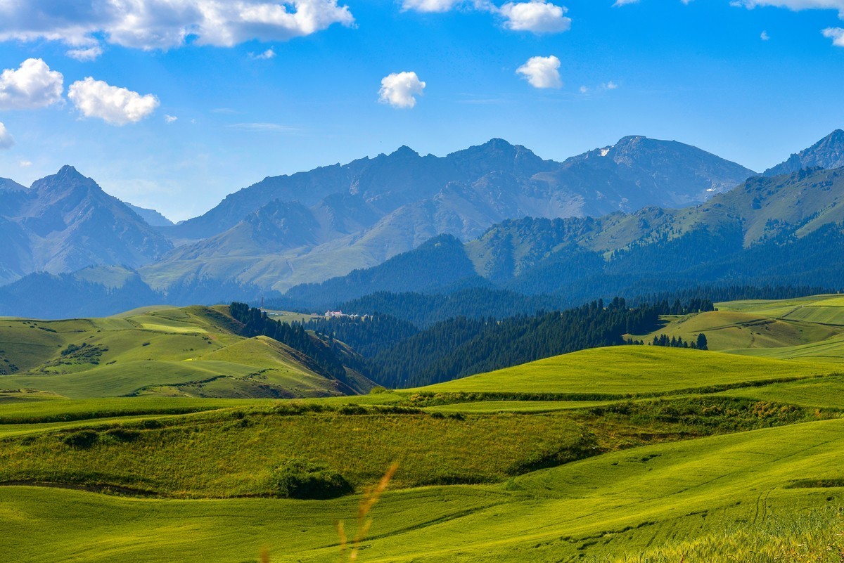 江布拉克（中）