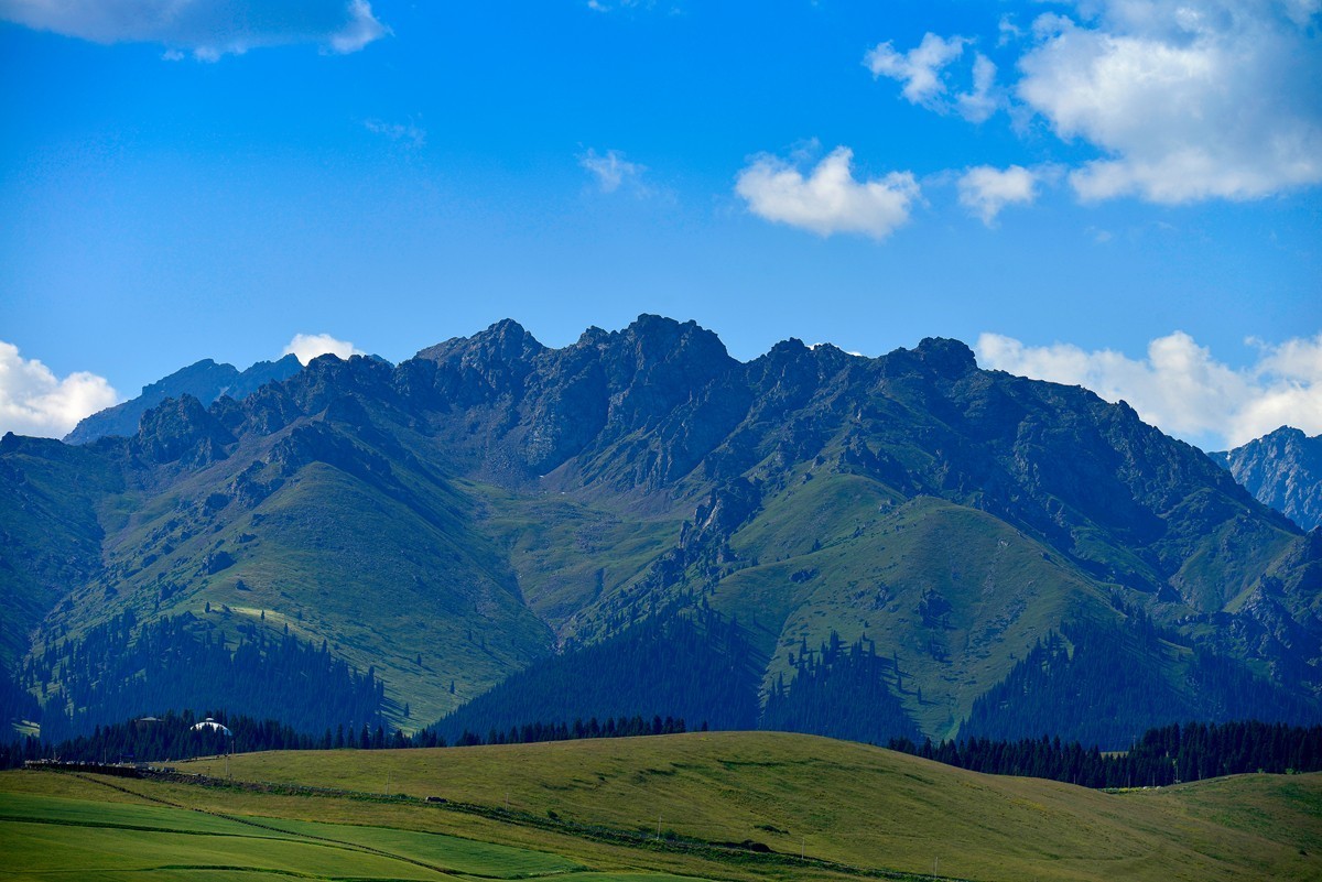 江布拉克（中）