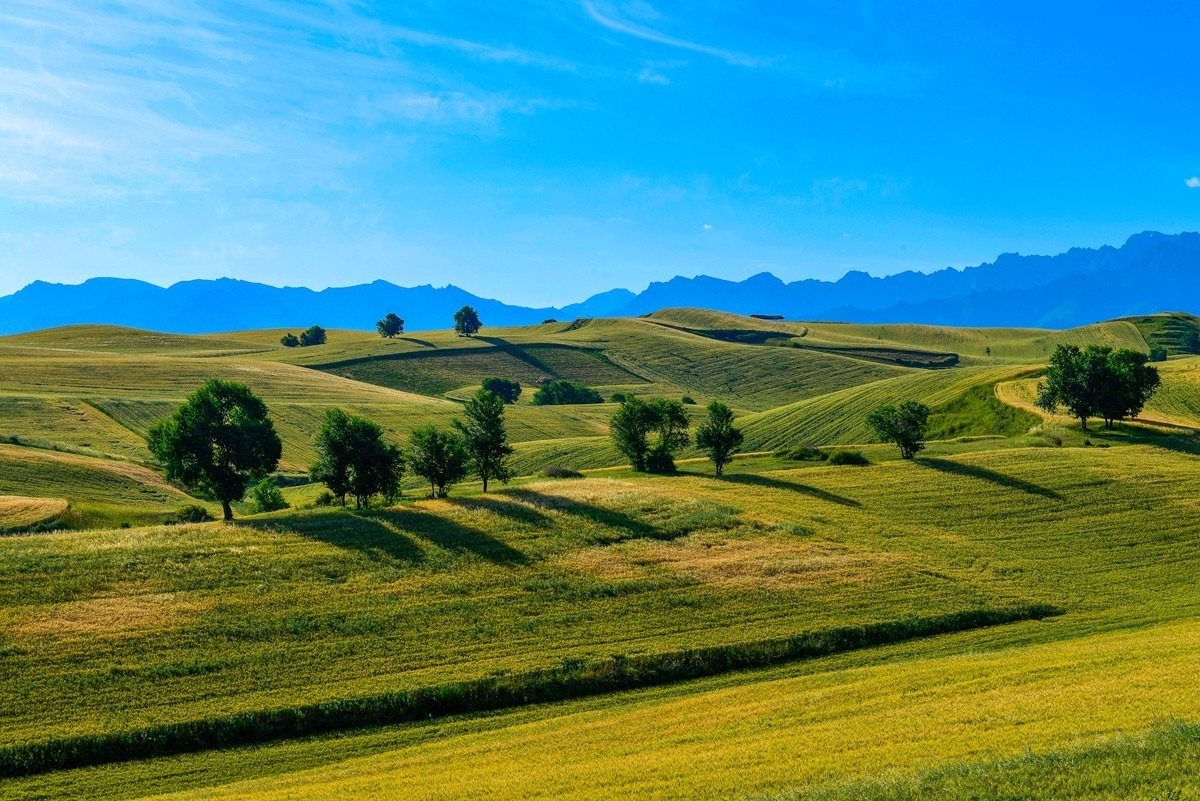 江布拉克（中）