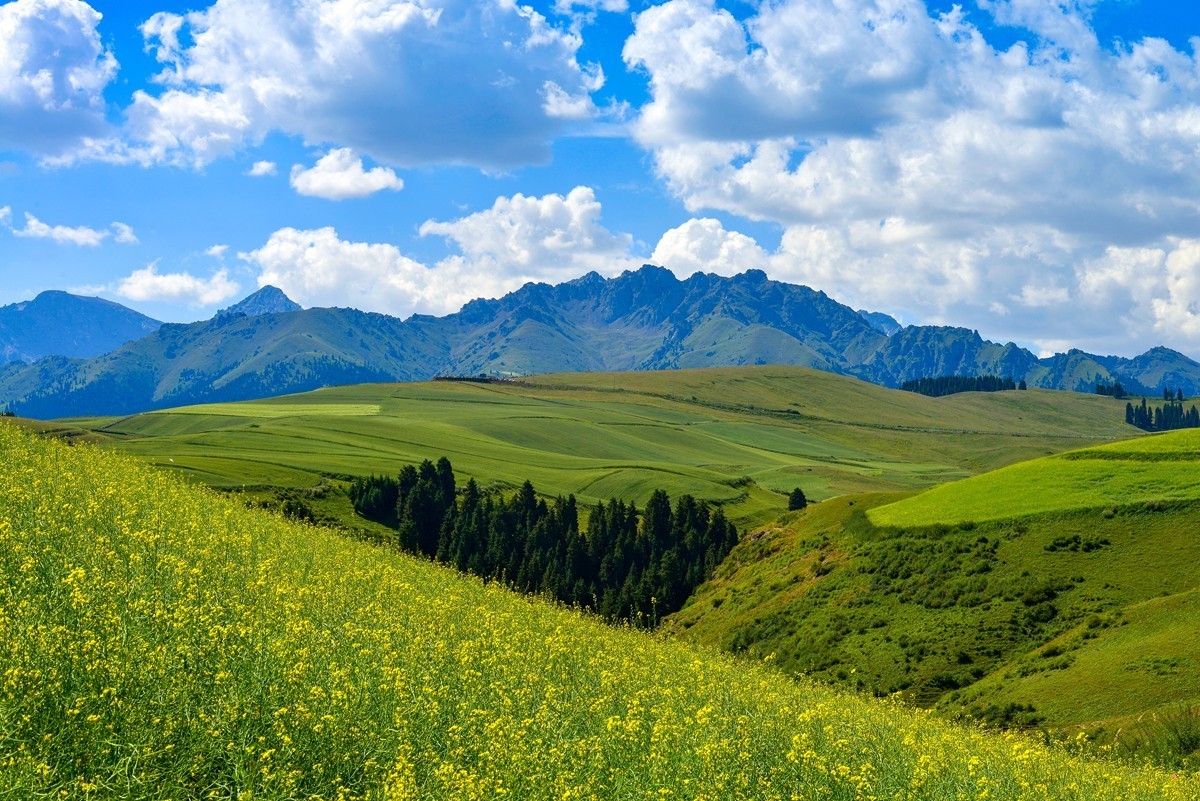 江布拉克（中）