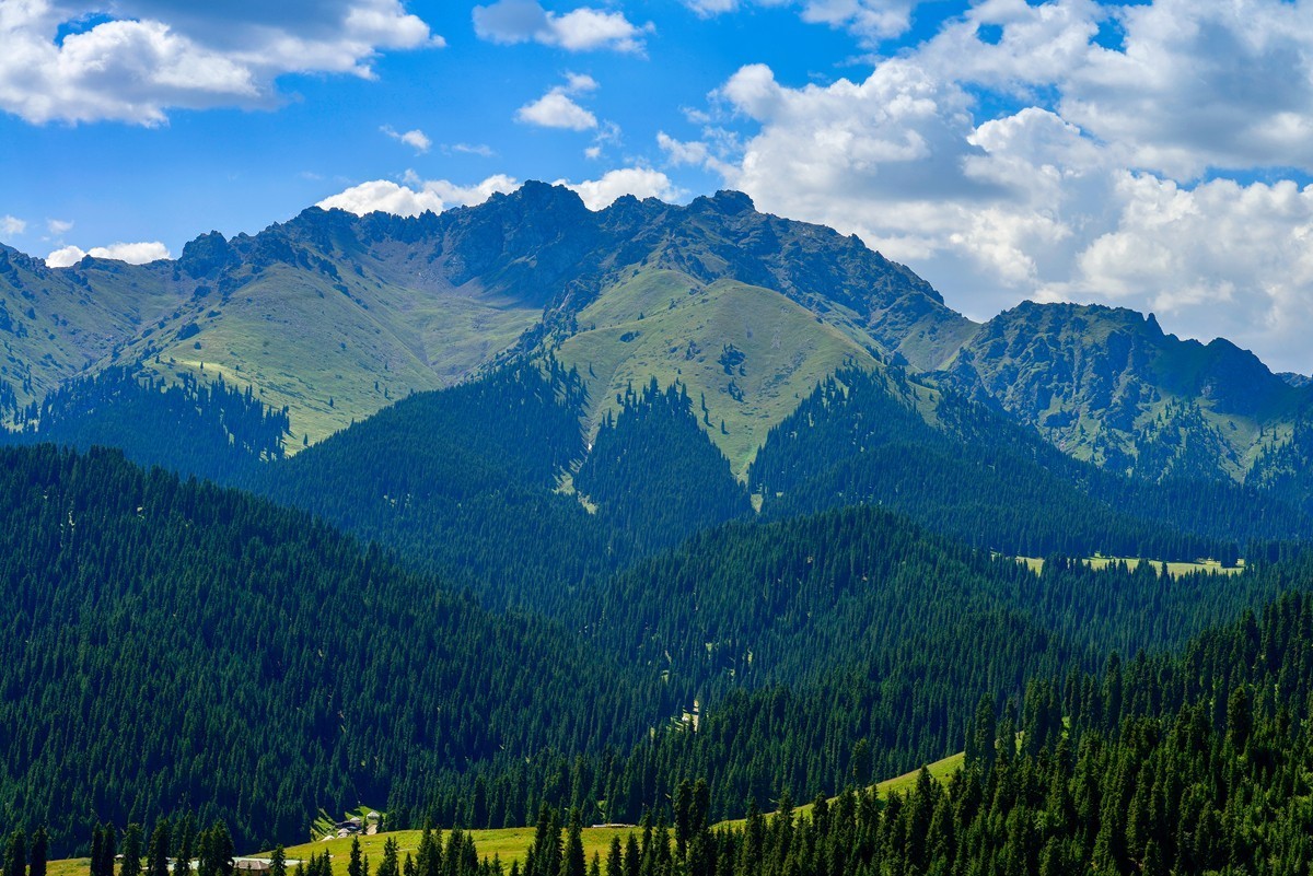 江布拉克（中）