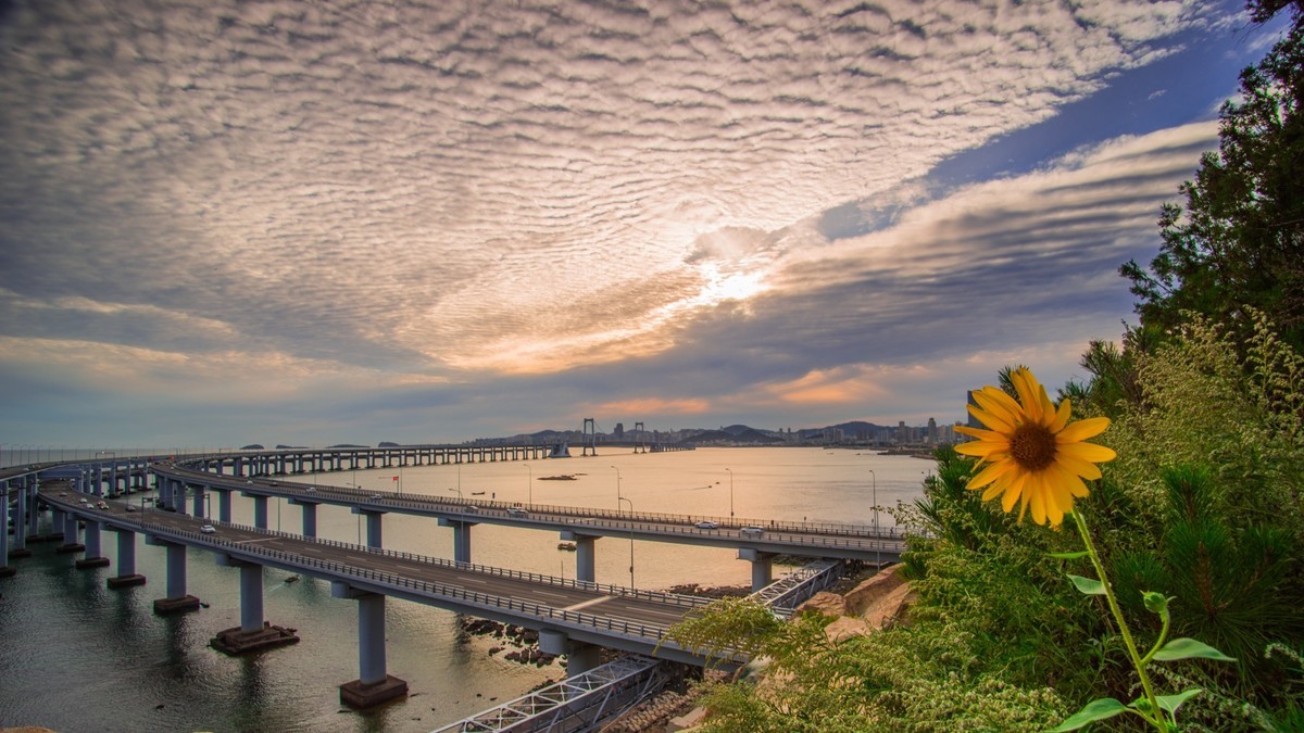 家乡的那片海------星海湾桥头的鱼鳞云