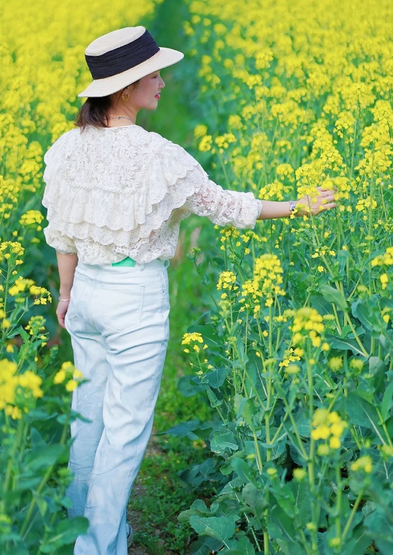 油茶花系列--闻到菜花香8