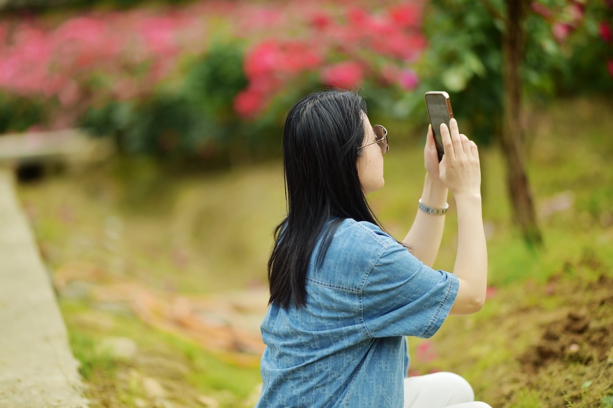 游宁国诚信园林月季园D4S+105 1.4E/ZF 50 1.2