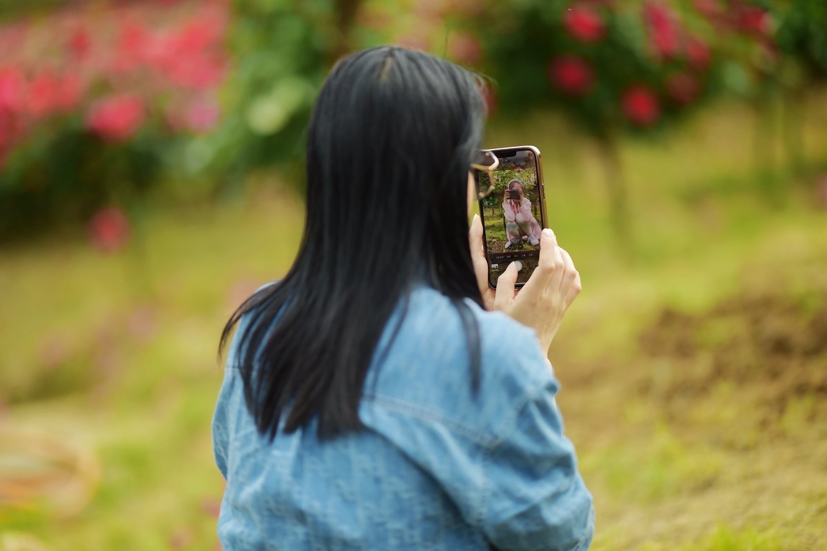 游宁国诚信园林月季园D4S+105 1.4E/ZF 50 1.2