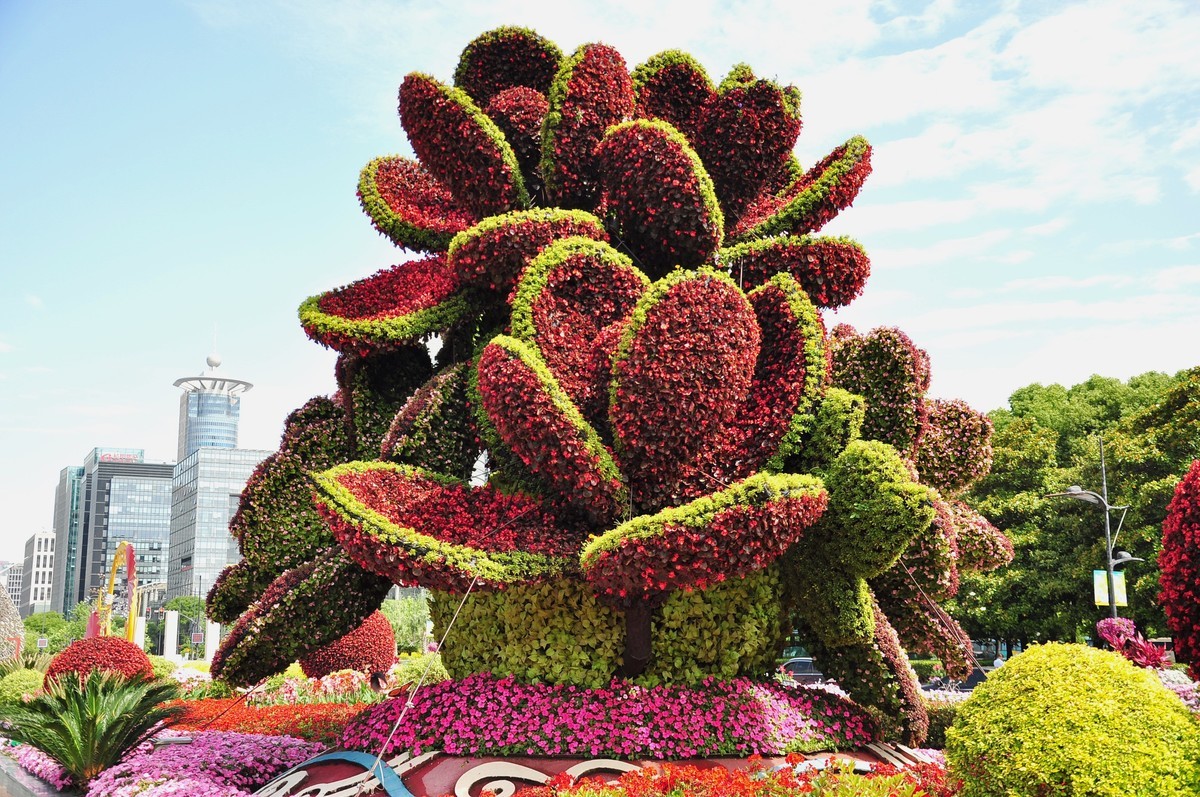 拿着相机继续扫街