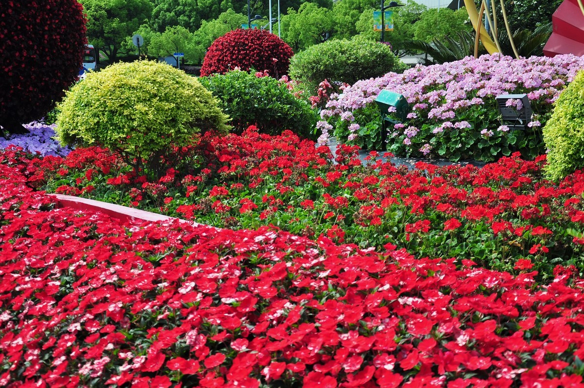 拿着相机继续扫街