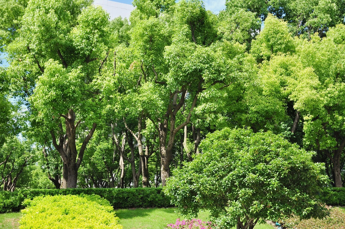 拿着相机继续扫街