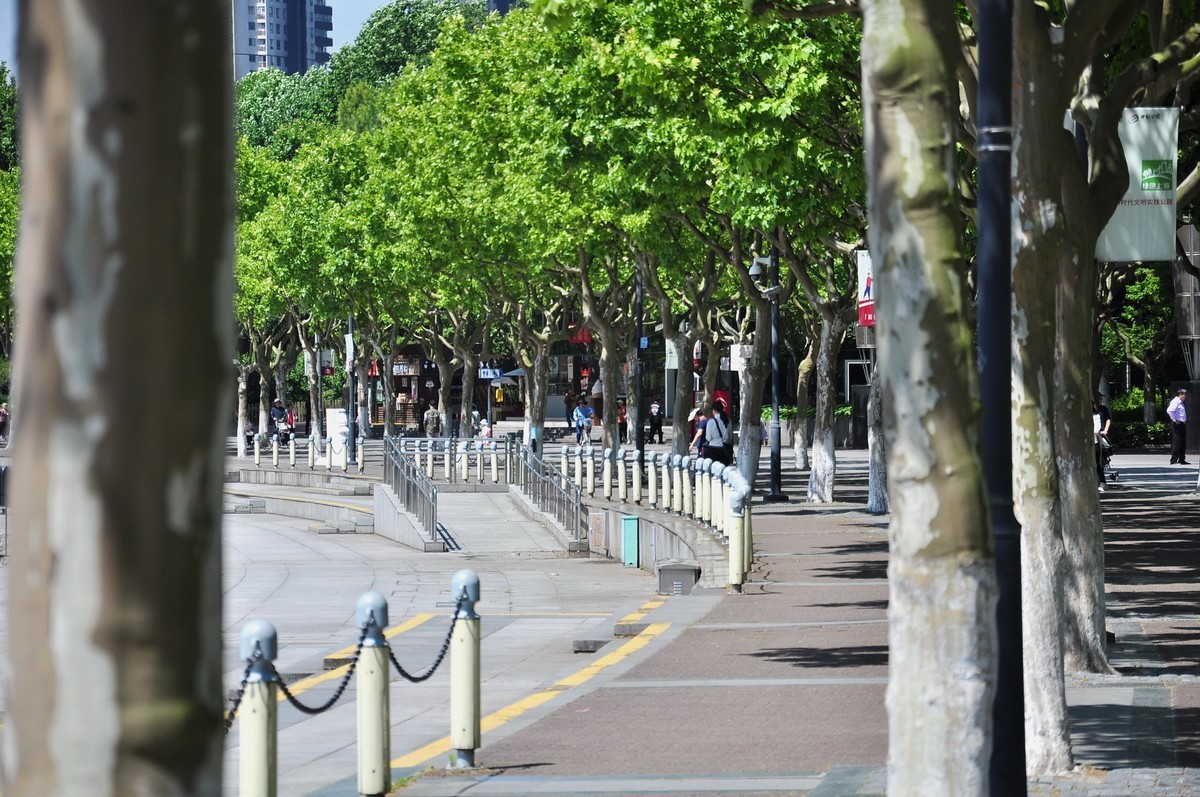 拿着相机继续扫街