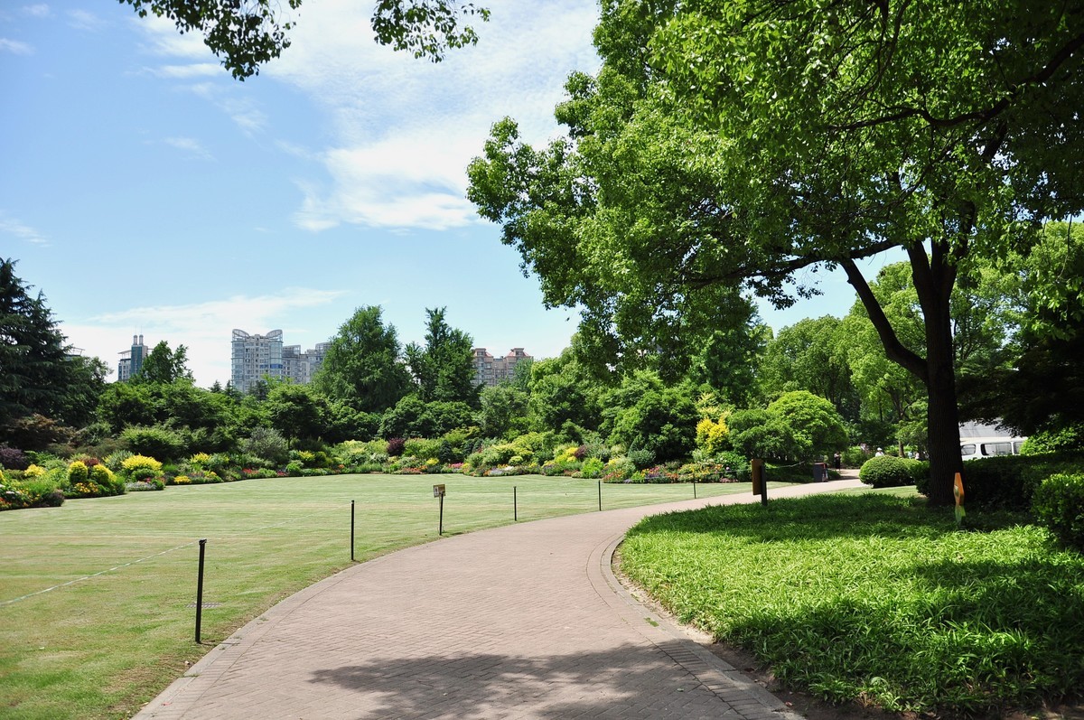 拿着相机继续扫街