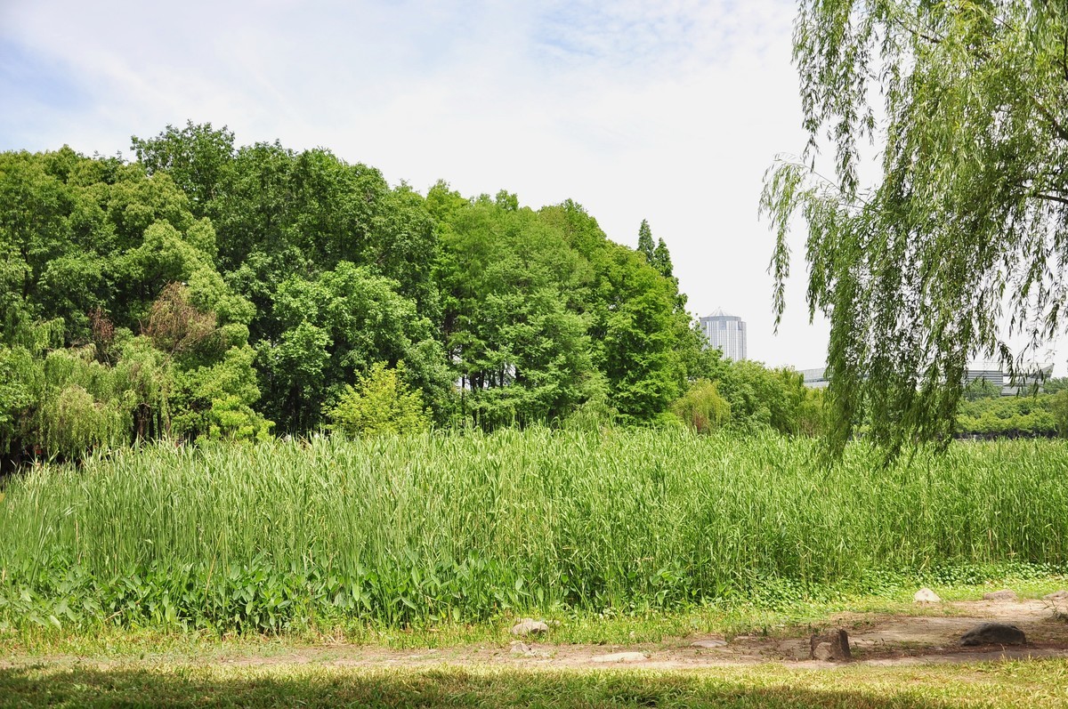 拿着相机继续扫街