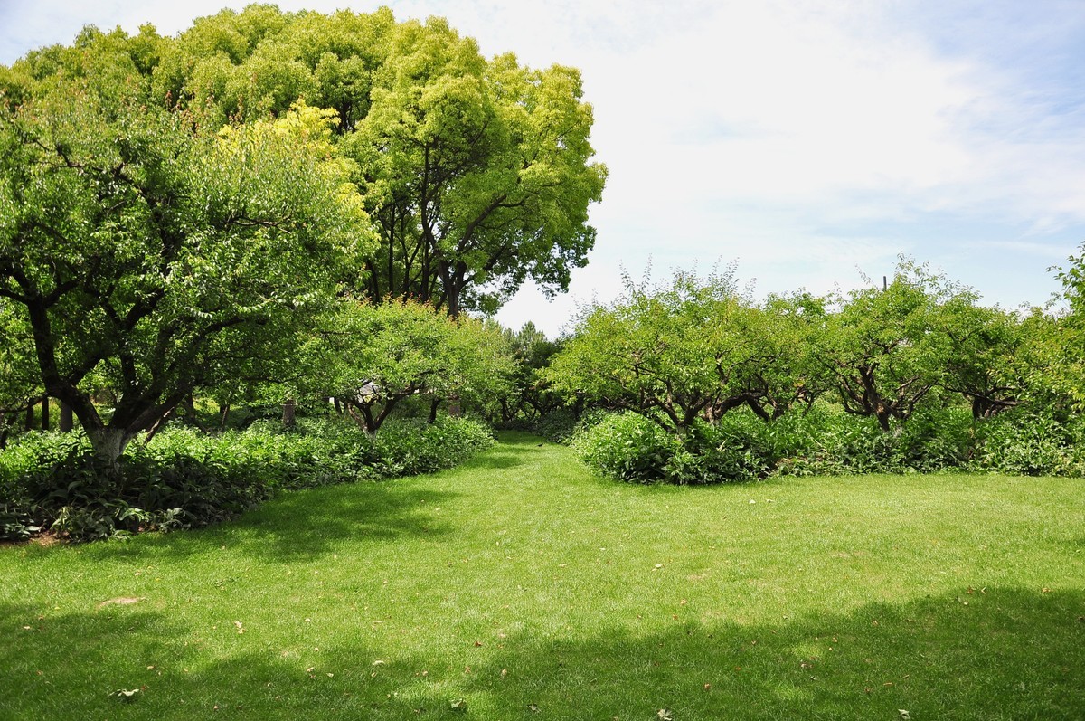 拿着相机继续扫街