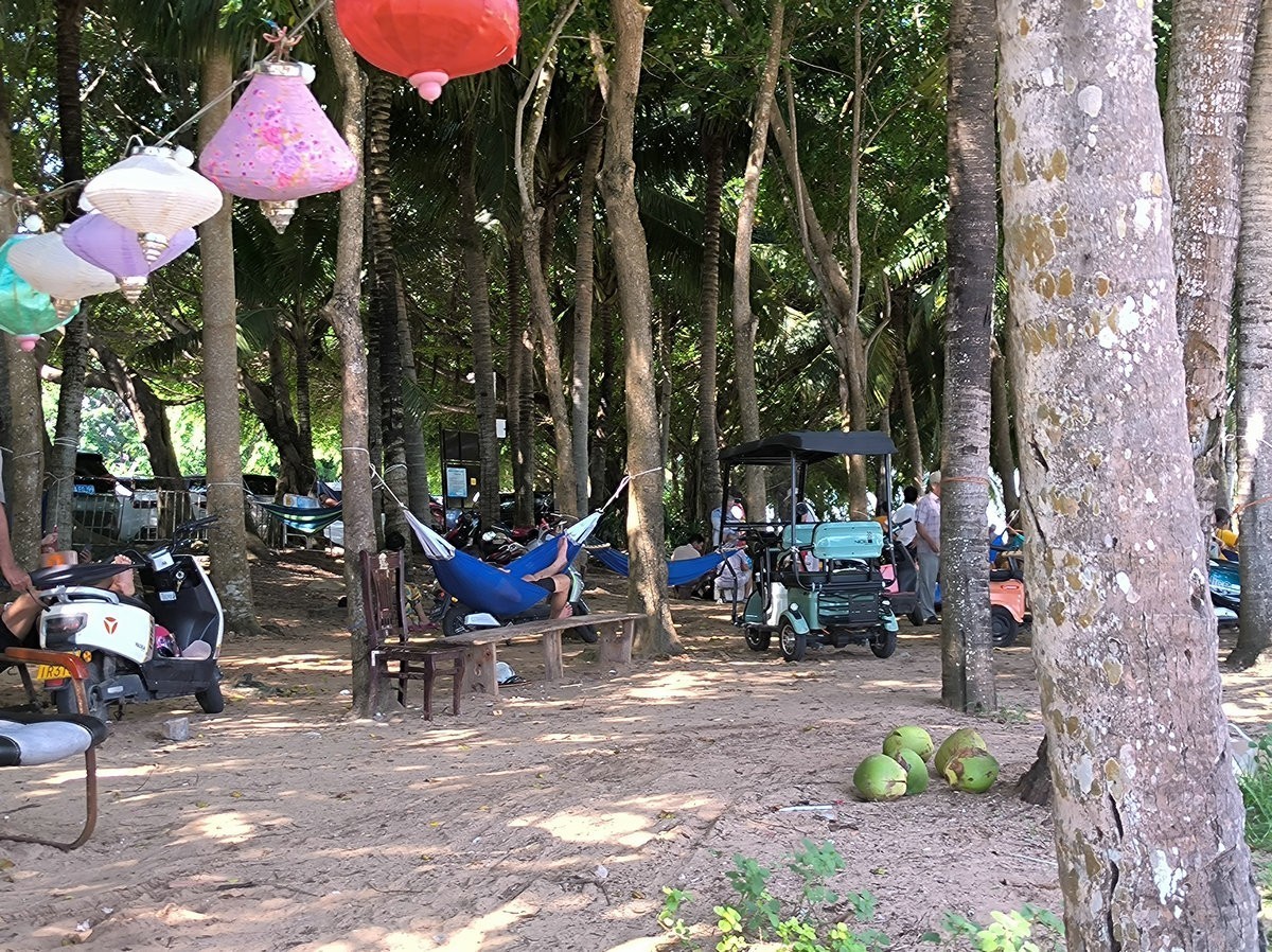 2024夏 海南环岛行（78）亚洲最大的游艇码头