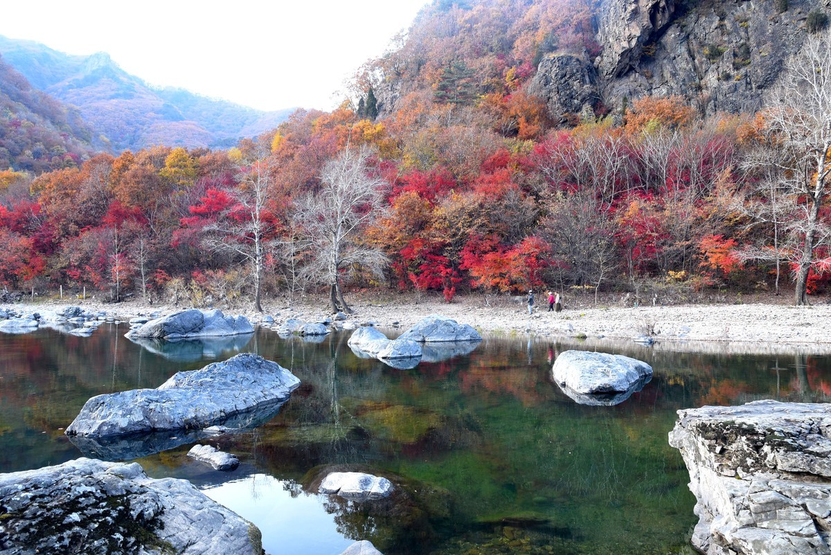 本溪湖里枫叶美