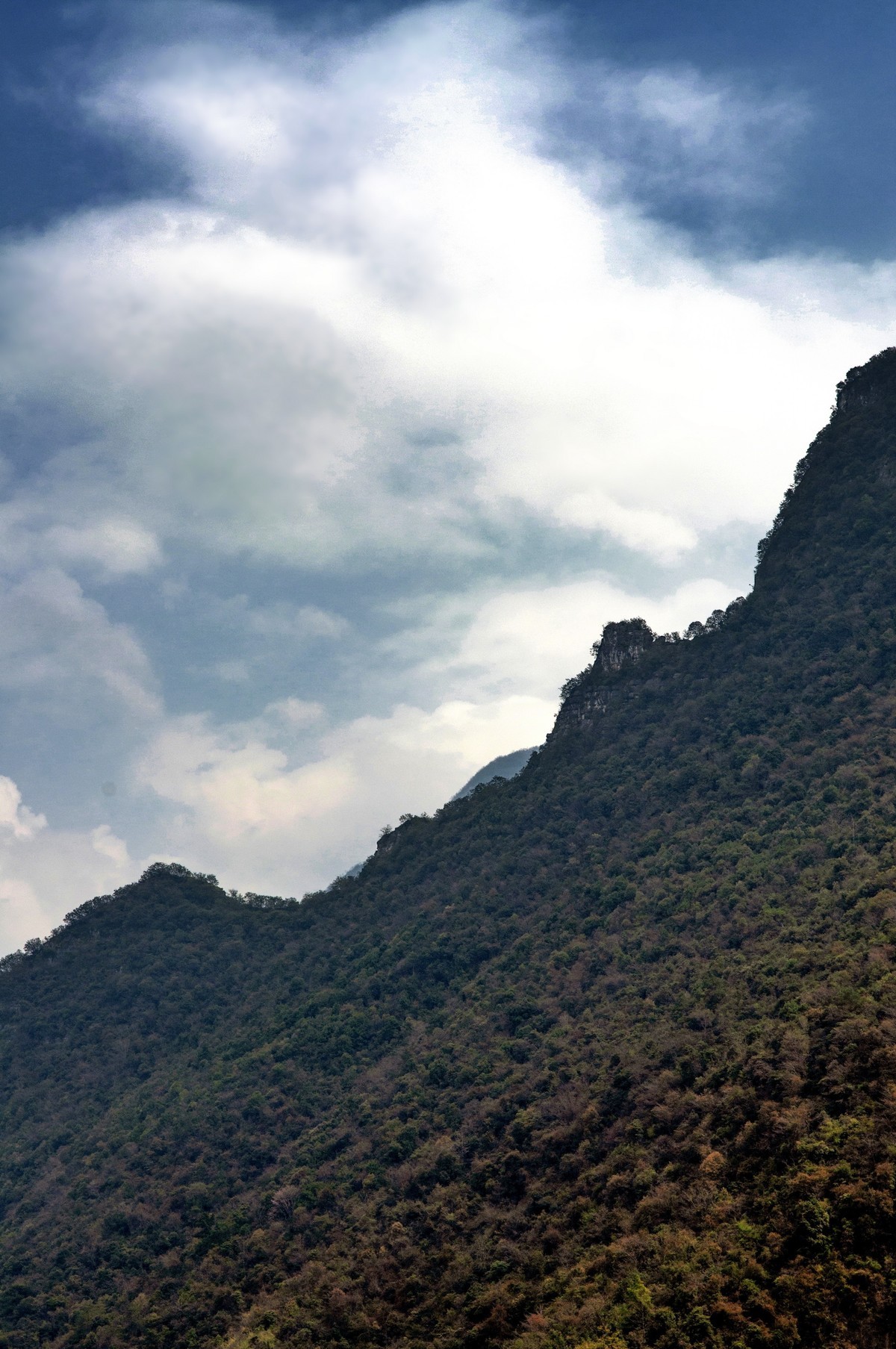 再发（船游大清江）