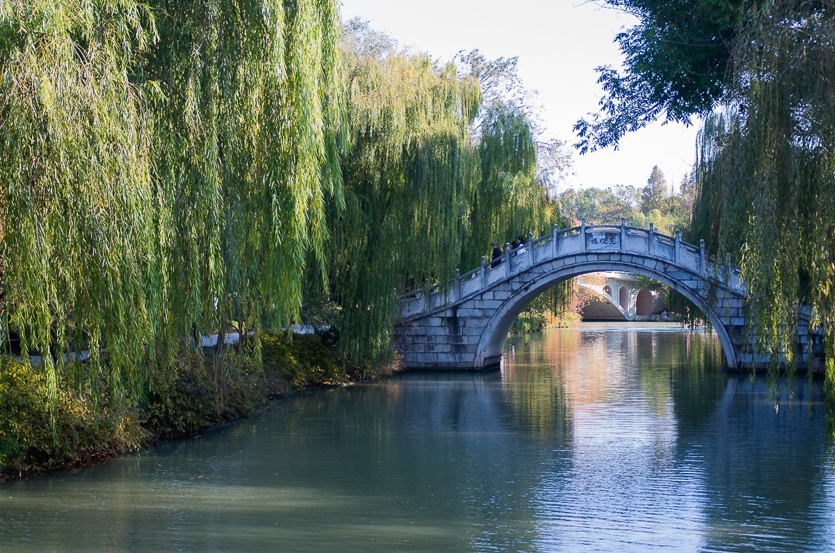 秋尽江南草未凋（扬州瘦西湖随拍）
