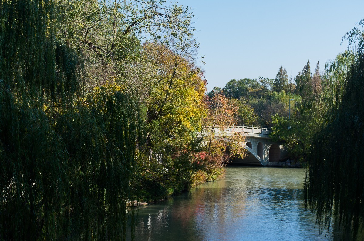 秋尽江南草未凋（扬州瘦西湖随拍）