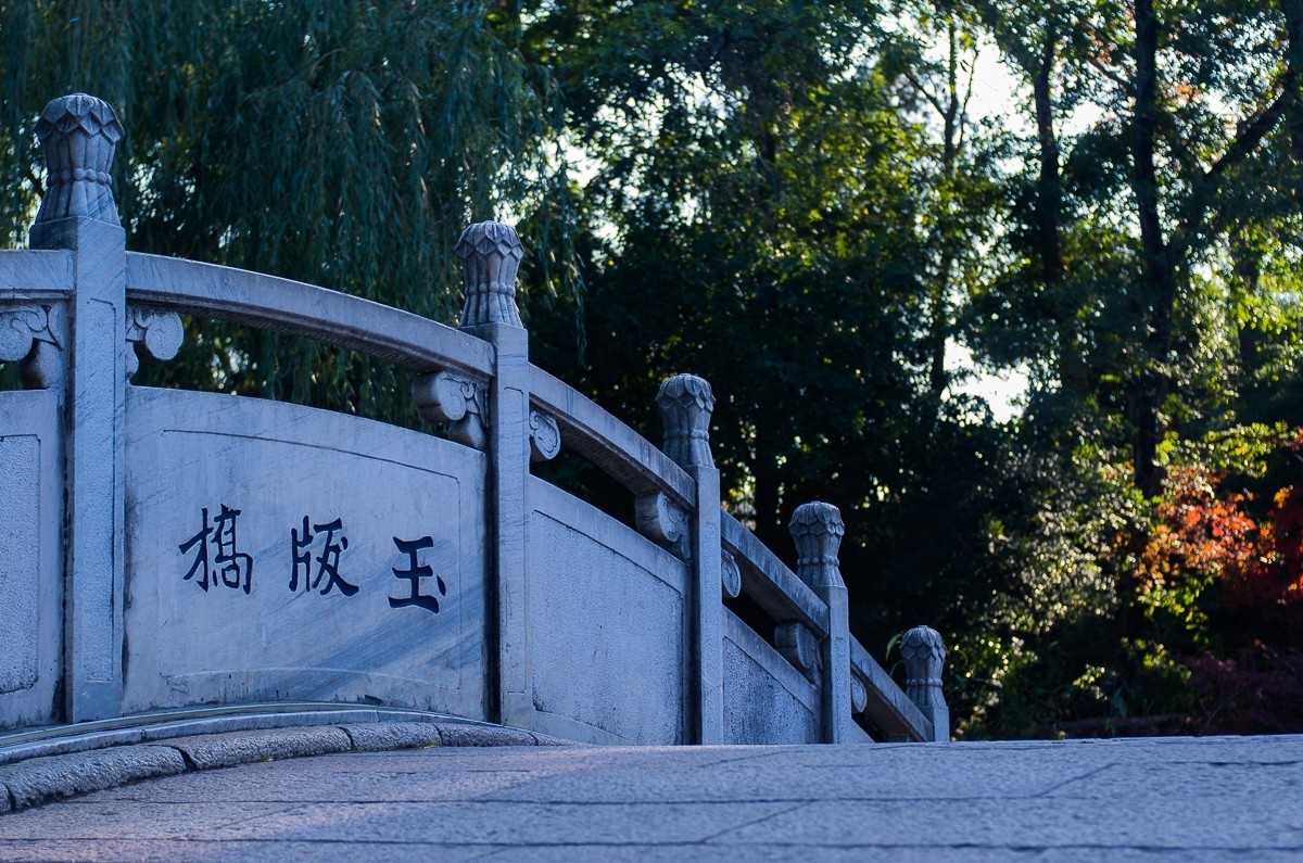 秋尽江南草未凋（扬州瘦西湖随拍）