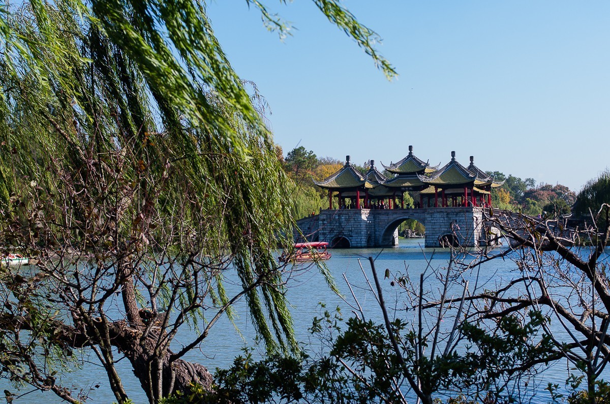 秋尽江南草未凋（扬州瘦西湖随拍）