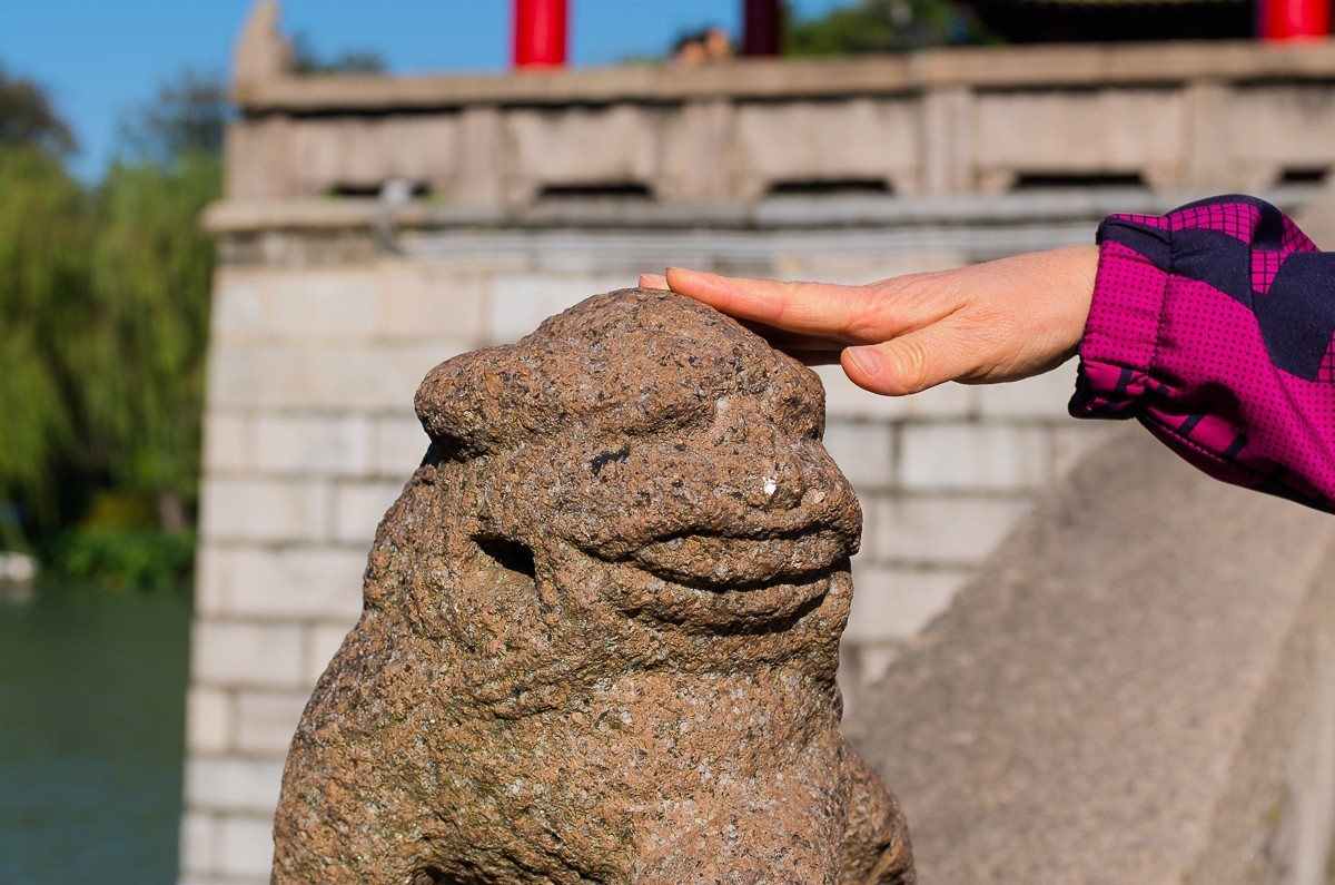 秋尽江南草未凋（扬州瘦西湖随拍）