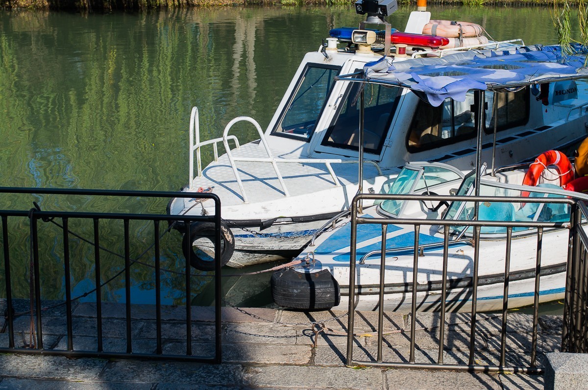 秋尽江南草未凋（扬州瘦西湖随拍）