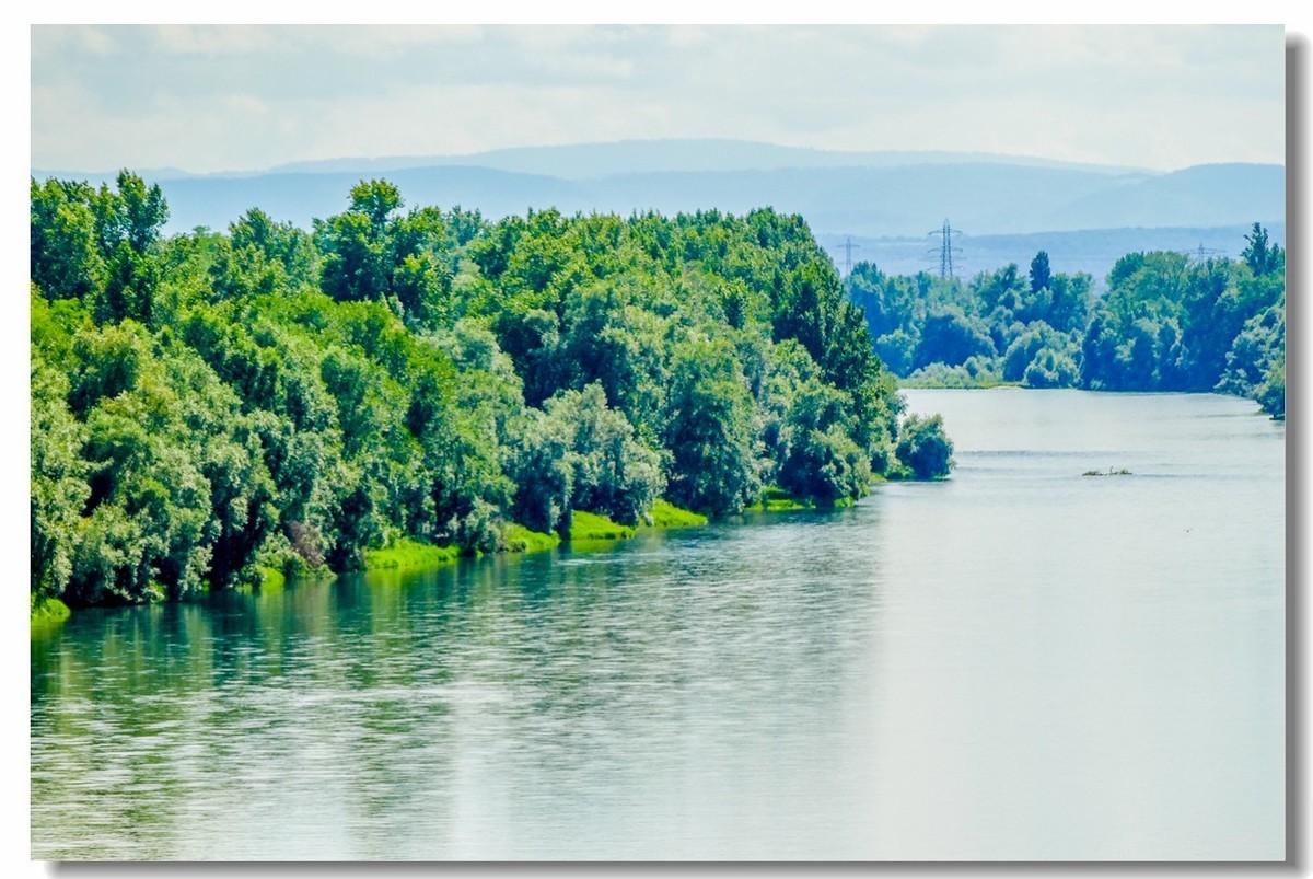 携“夏日莱茵”，拜望无锡星空(中国)师友，祝长夏安好！！！