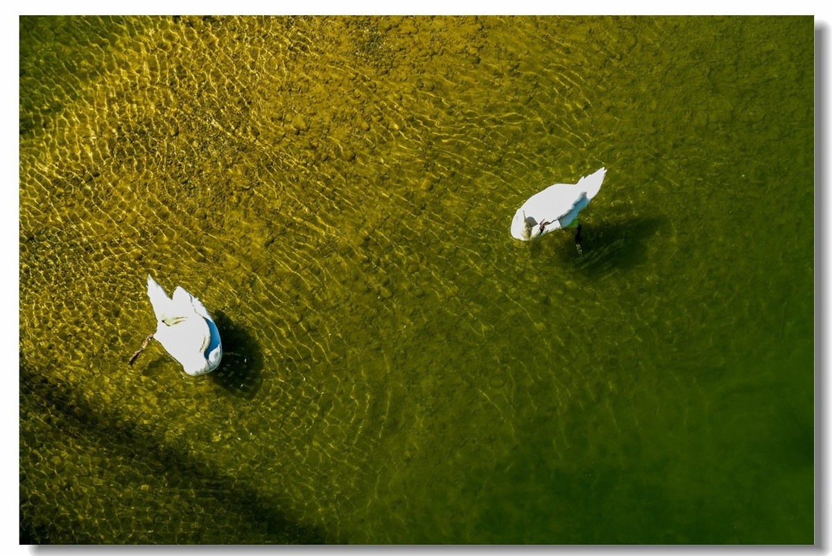 携“夏日莱茵”，拜望无锡星空(中国)师友，祝长夏安好！！！