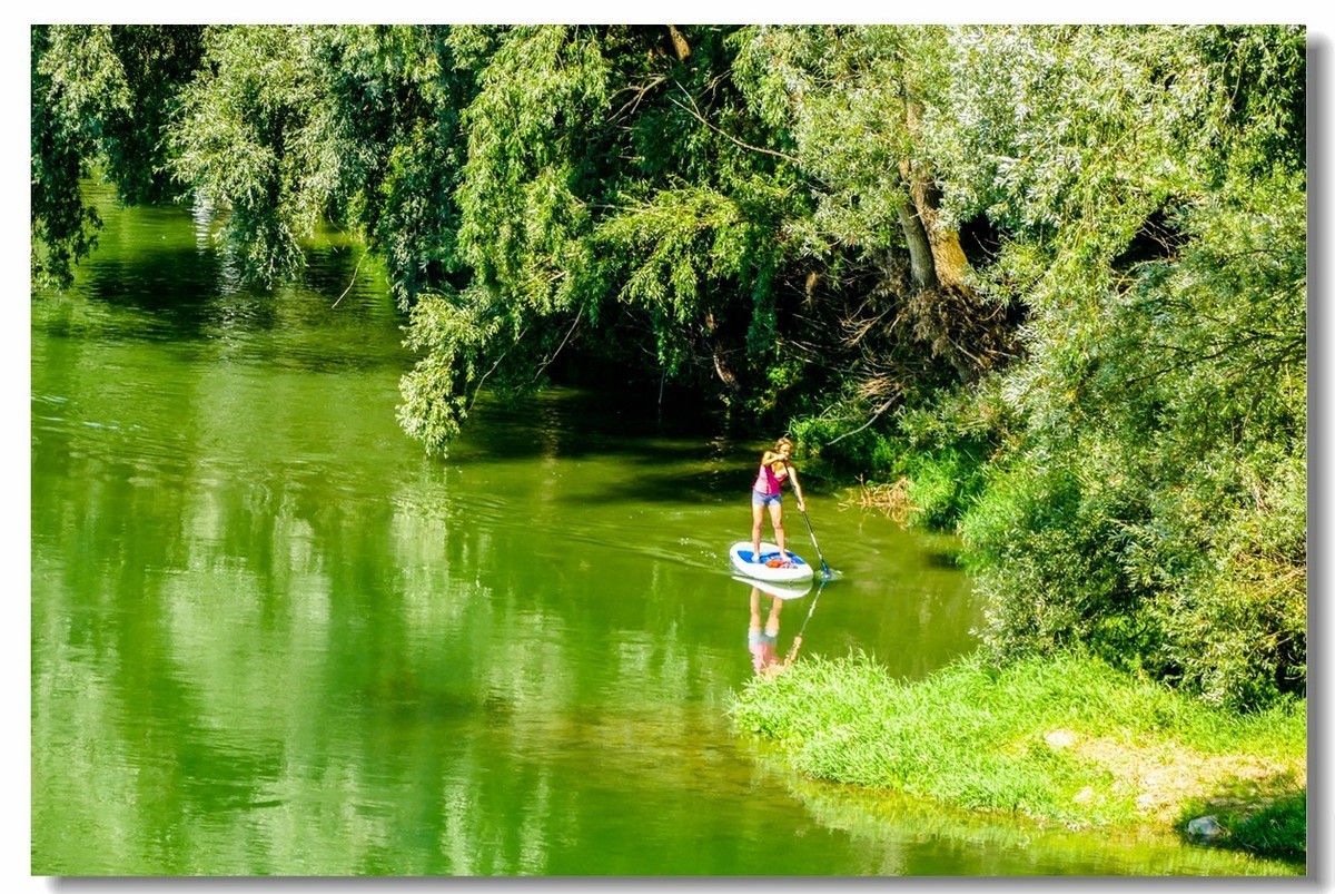 携“夏日莱茵”，拜望无锡星空(中国)师友，祝长夏安好！！！