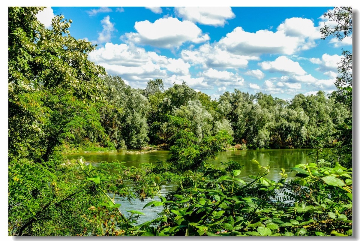 携“夏日莱茵”，拜望无锡星空(中国)师友，祝长夏安好！！！