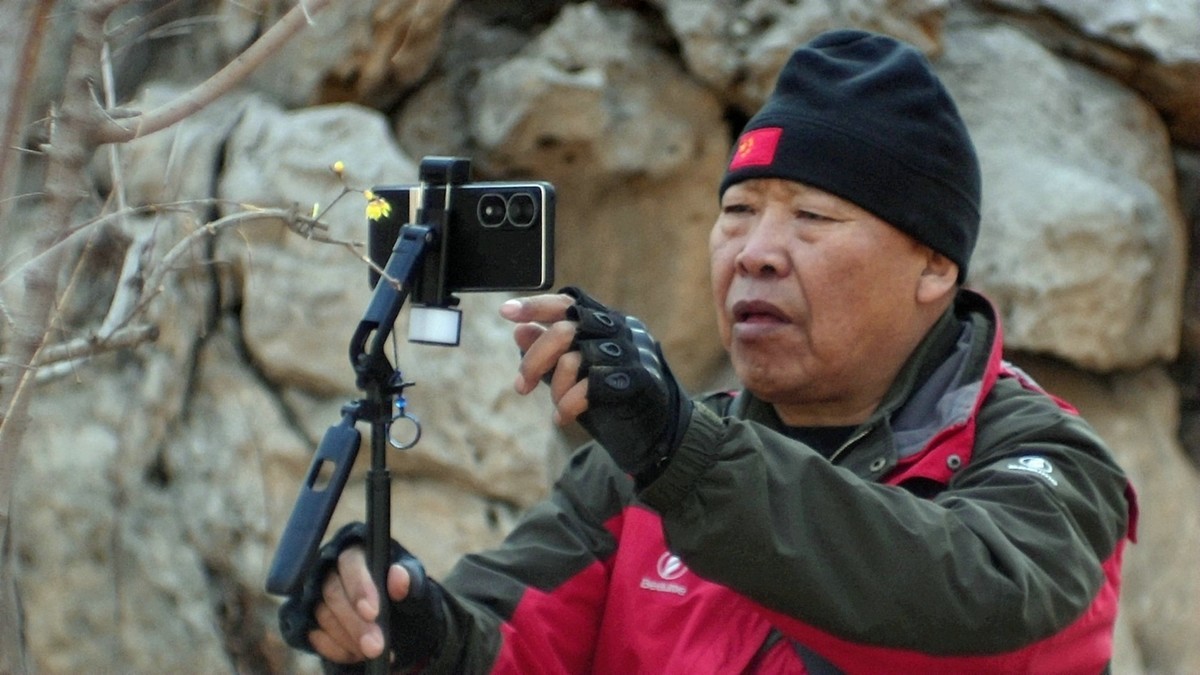 摄影师精益求精拍腊梅