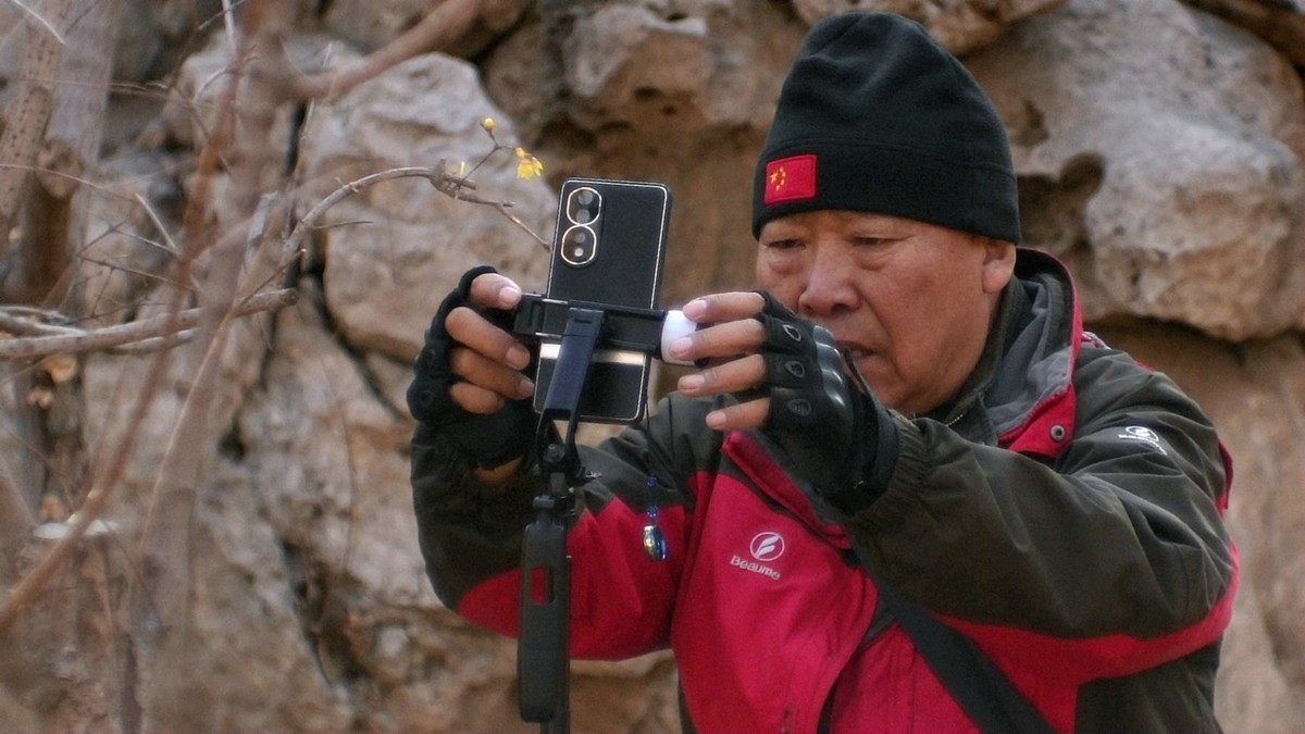 摄影师精益求精拍腊梅