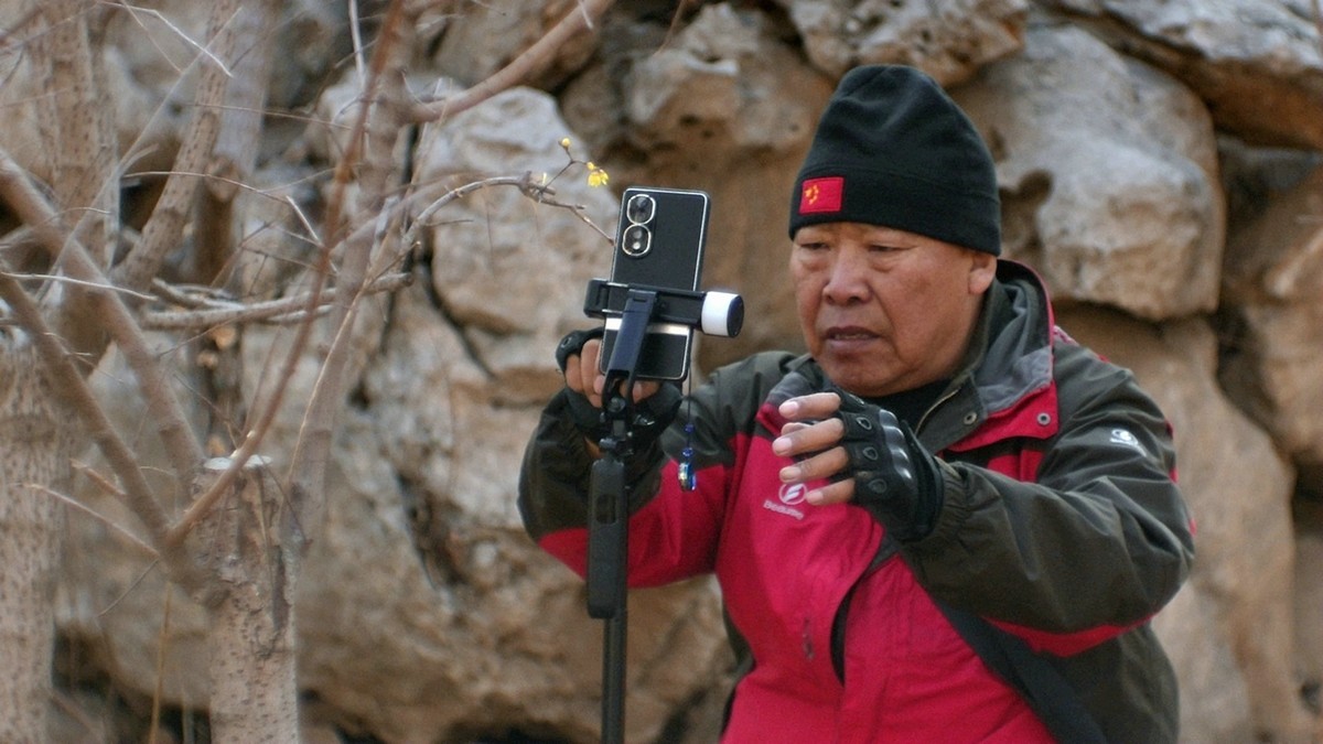 摄影师精益求精拍腊梅