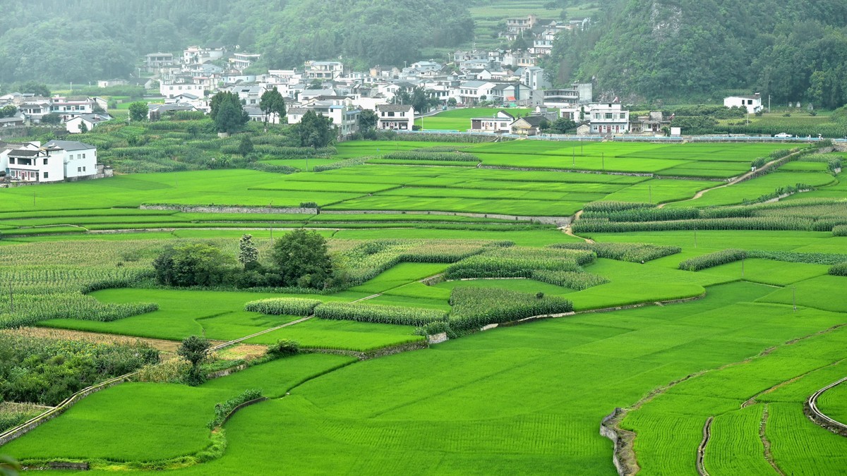 【黔西南万峰林-中国田园风光天花板】尼康Z5 24-200直出