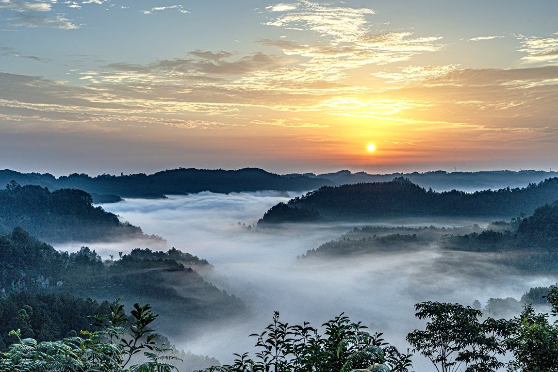 四川威远骑龙坳---晨雾【11】续完