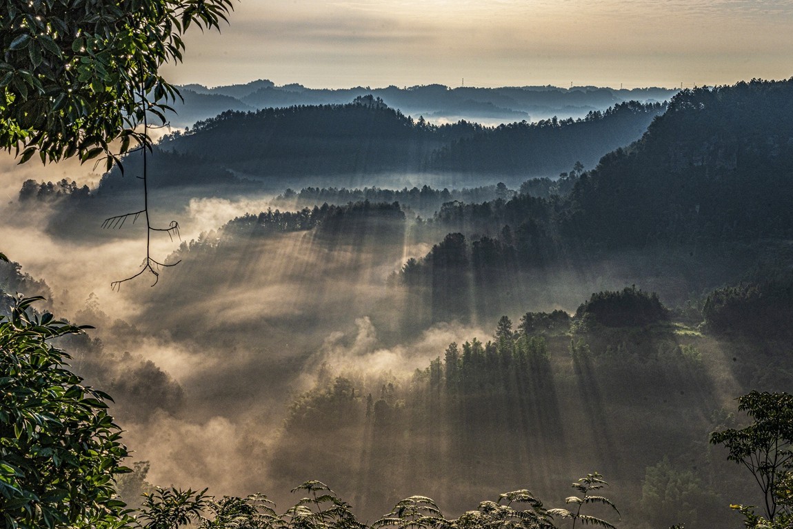 四川威远骑龙坳---晨雾【11】续完