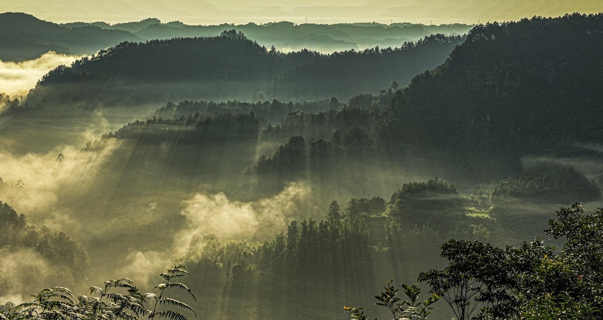 四川威远骑龙坳---晨雾【11】续完