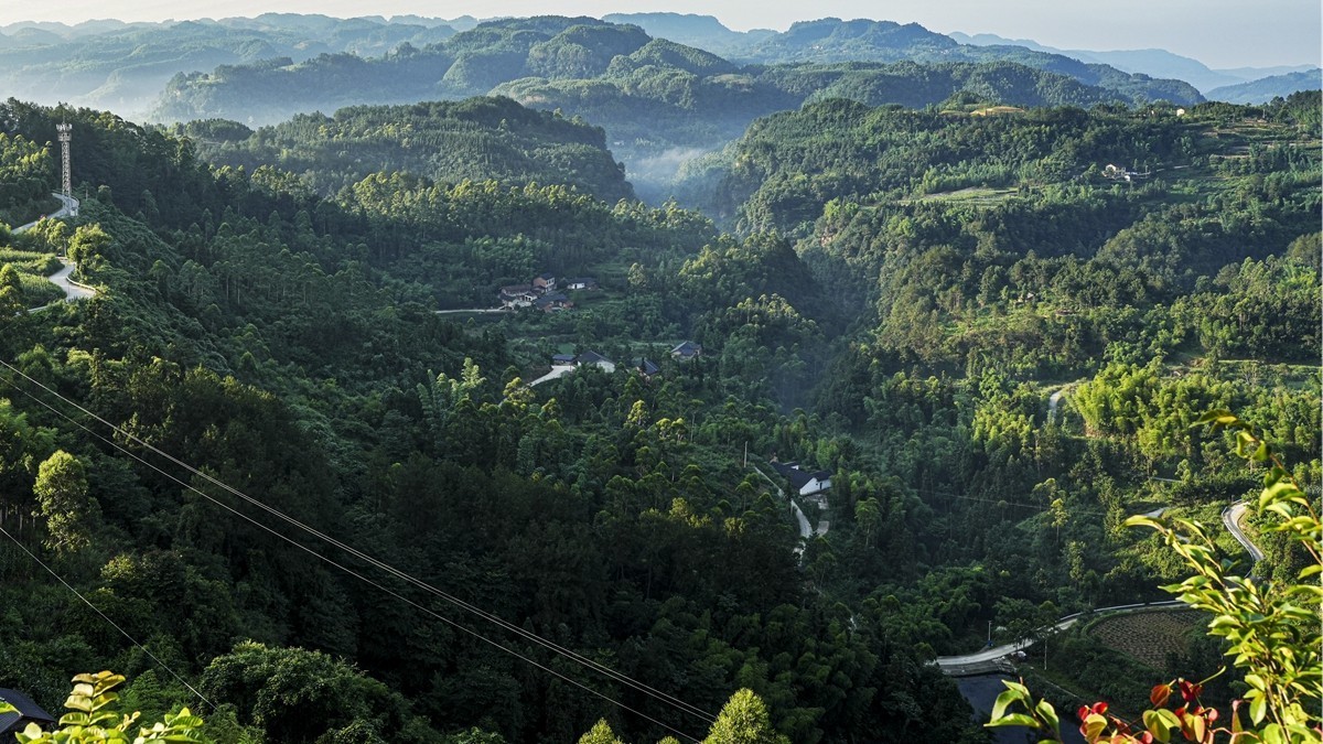 四川威远骑龙坳---晨雾【11】续完