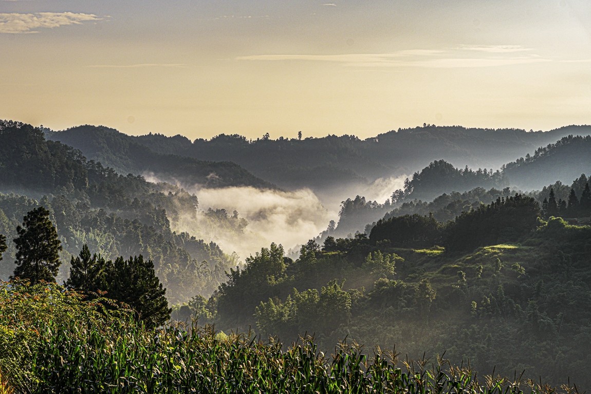 四川威远骑龙坳---晨雾【11】续完