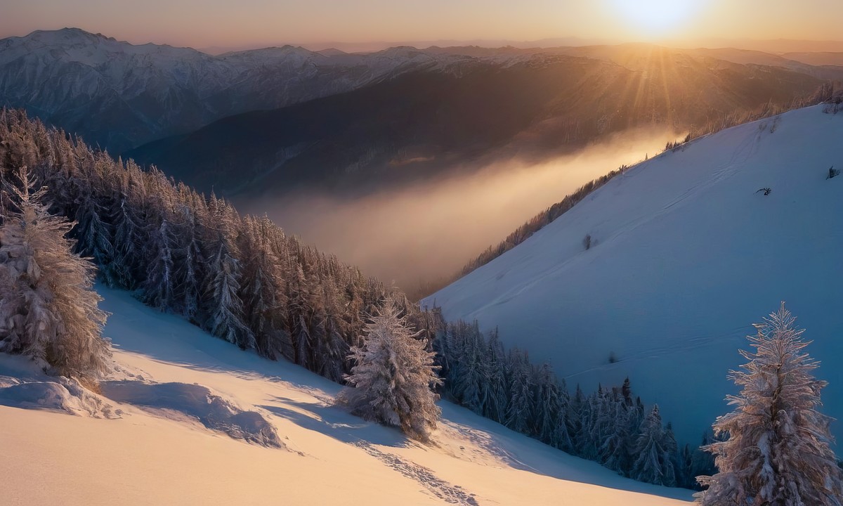 一次心灵的洗礼