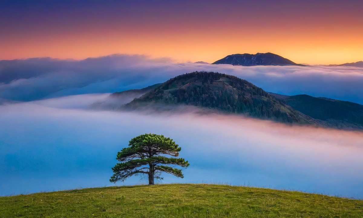 一次心灵的洗礼