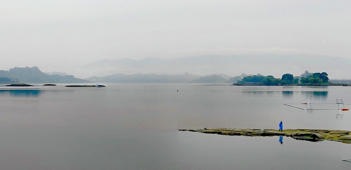 外出随拍（续267）.