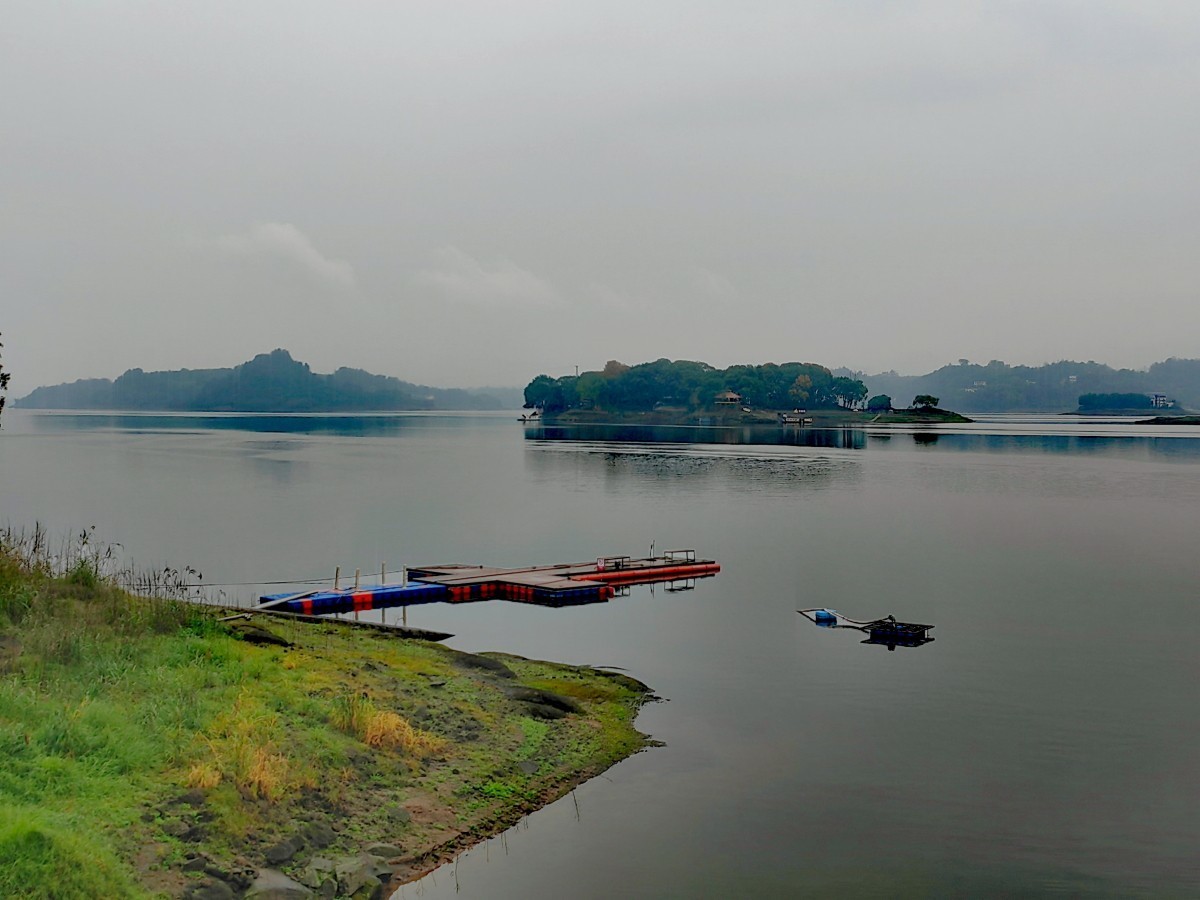 外出随拍（续267）.